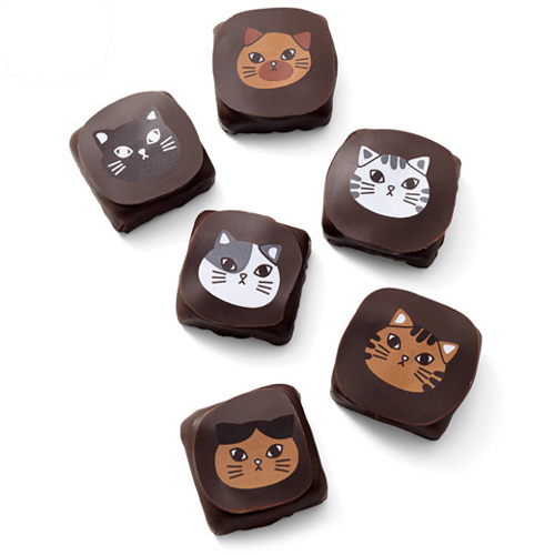 cat chocolates